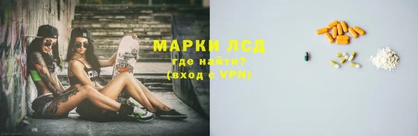 прущие грибы Кукмор