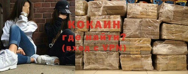 прущие грибы Кукмор