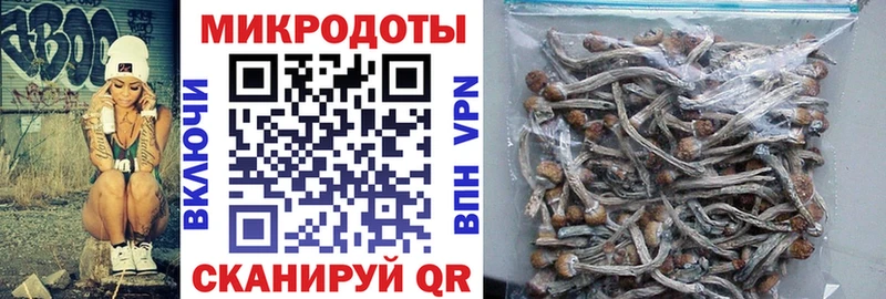 Галлюциногенные грибы ЛСД  Купить  Аргун 
